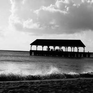 miami 1688: วอลเล็ตที่ต้องมีเพื่อการเงินที่คล่องตัว